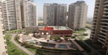 3293 Sq.Ft. Penthouse Available For Rent In Ambiance Lagoon, Gurgaon